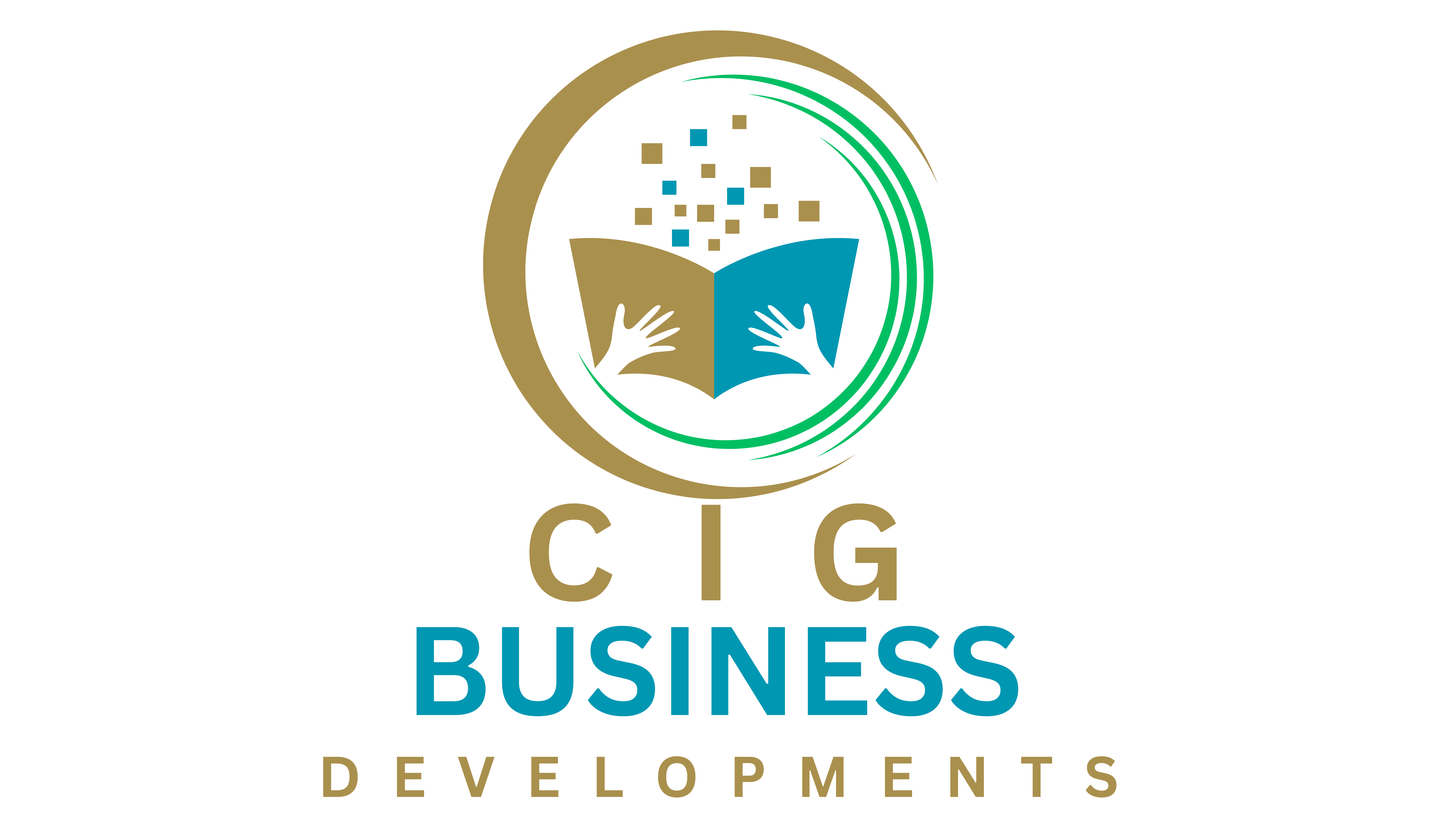 cigbizdev.co.nz